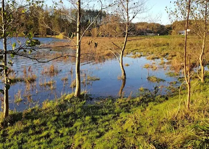 4 Star In * Aabenraa